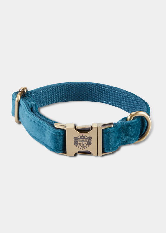Dog Lead -Teal